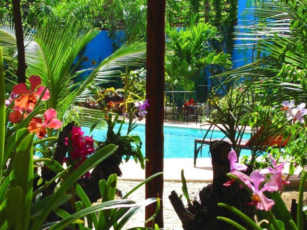 Alta Cebu Resort Esterno foto
